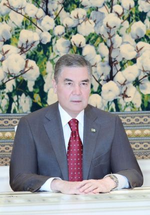 Türkmenistanyň Prezidenti Hindistanyň Adatdan daşary we Doly ygtyýarly ilçisinden ynanç hatyny kabul etdi