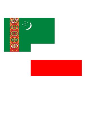 Türkmenistanyň Prezidenti Polşa Respublikasynyň Prezidentini gutlady