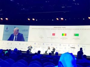 Türkmenistanyň wekiliýeti Abu-Dabide “Adipeс–2018” atly nebitgaz sergi–maslahatyna gatnaşdy