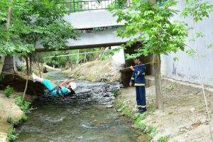 Ukyp-başarnykly ýaş nesiller