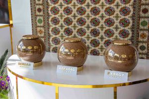 Ýurdumyzda ak bugdaýyň täze sortlary döredildi