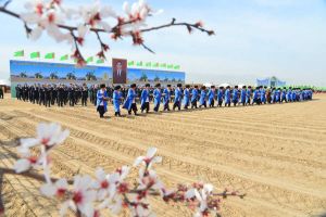 Ýurdumyzda gowaça ekişine girişildi