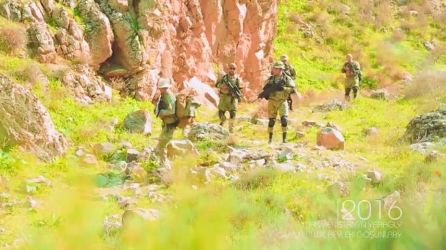 Harby türgenleşikler